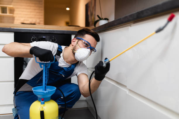 Best Termite Control Services  in Locust Fork, AL