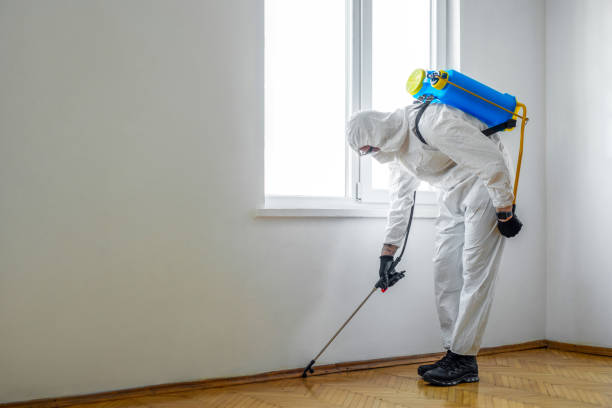 Best Flea Control Services  in Locust Fork, AL
