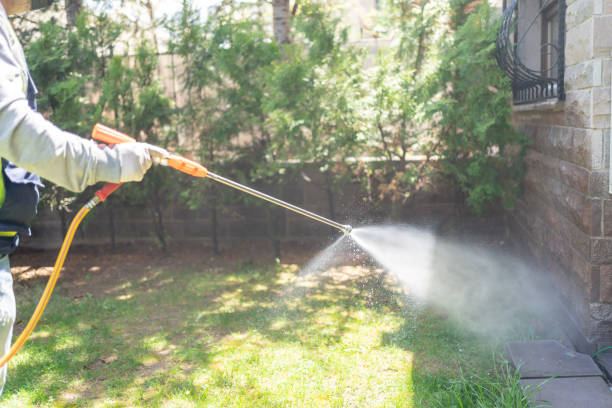 Flea Control Services in Locust Fork, AL
