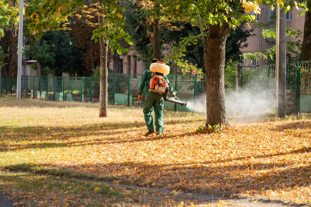 Flea Control Services in Locust Fork, AL
