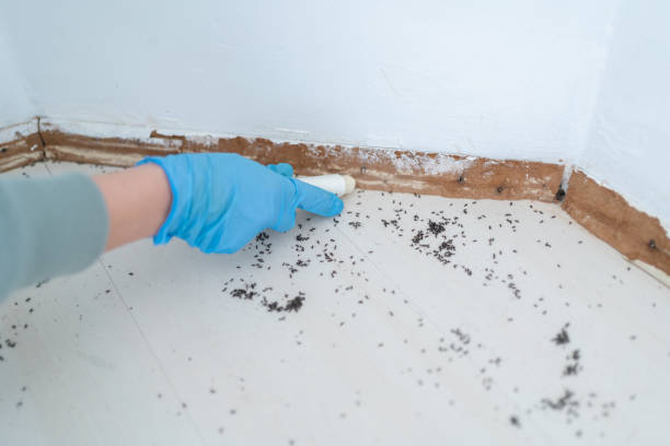 Pest Control Cost in Locust Fork, AL